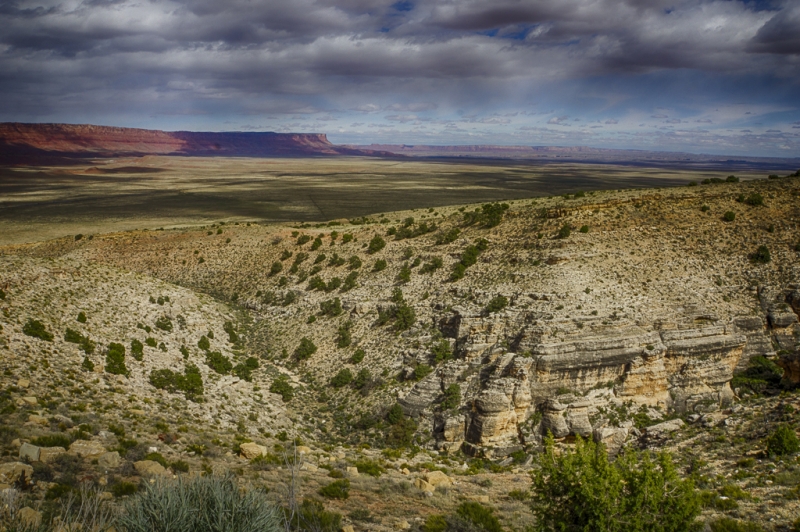 Arizona--13