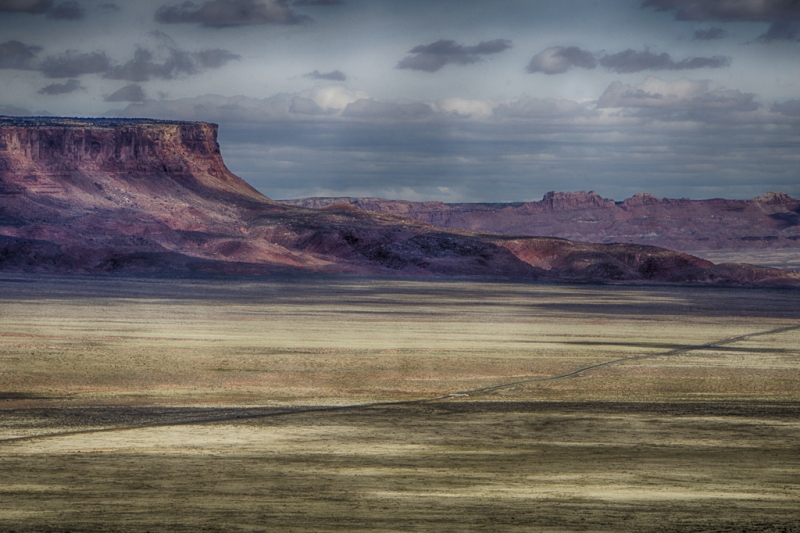 Arizona--14