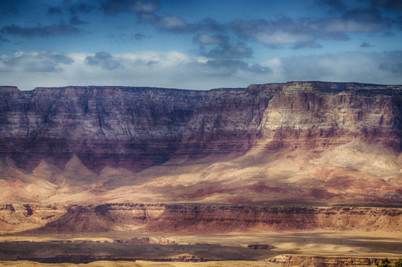 Arizona--4