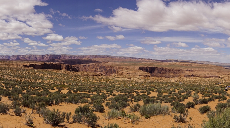 Arizona-4334