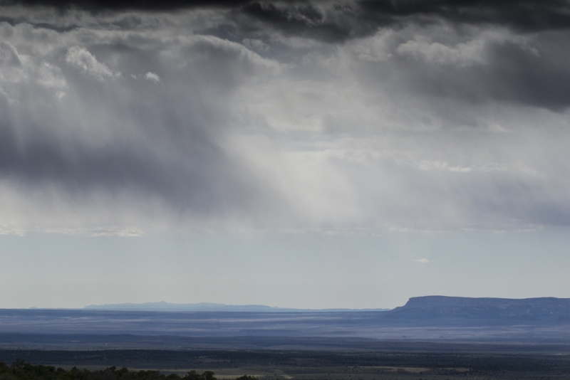 Arizona-4411
