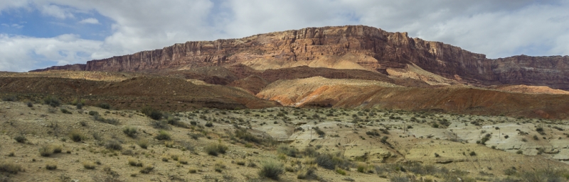Arizona-5159