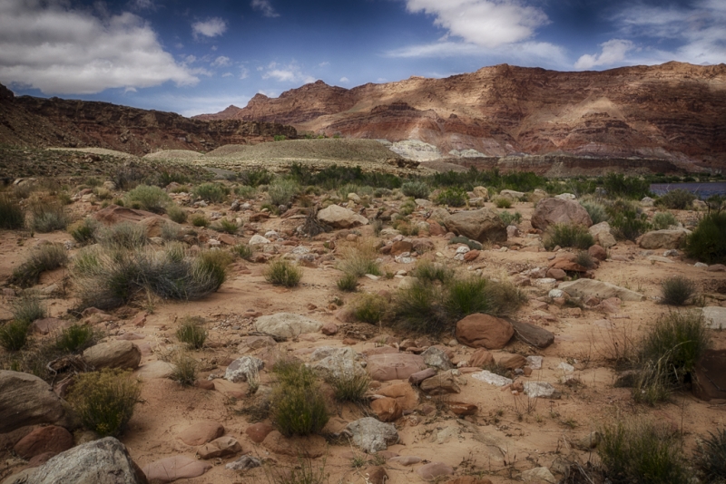 Arizona--6