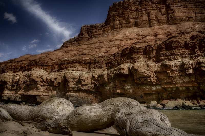 Arizona--7