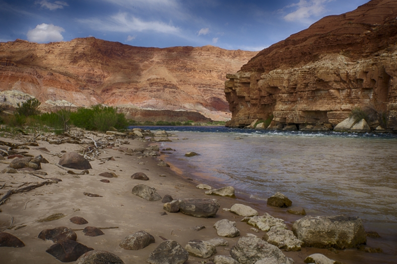 Arizona--8