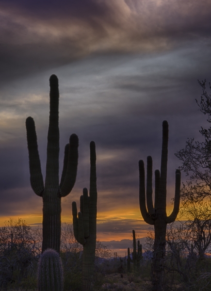Arizona-1838_HDR-Edit