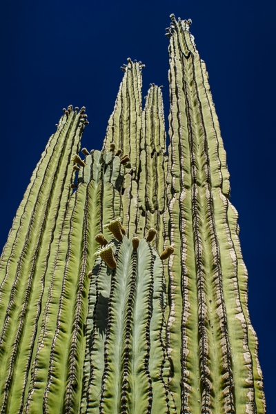 Arizona-2137_HDR-2