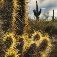 Arizona-1677_HDR-Edit