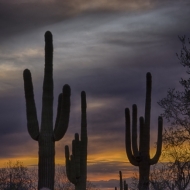 Arizona-1838_HDR-Edit