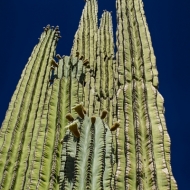 Arizona-2137_HDR-2