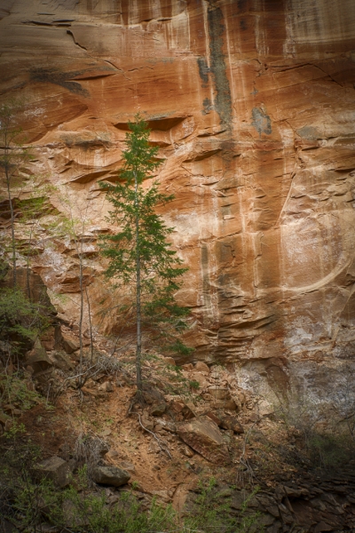 Arizona-2918_HDR