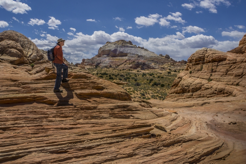 Arizona-6161
