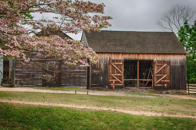 batsto-village-7_0