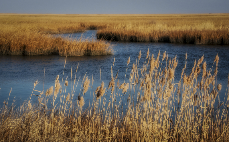 bombay-hook-2220-edit