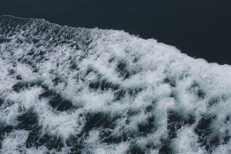 _DSC2474
