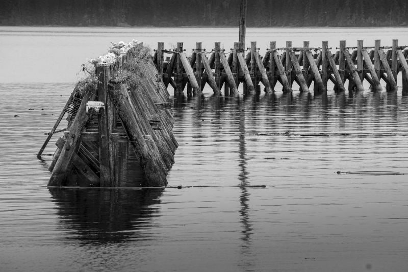 _DSC2534