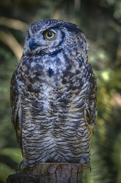 _DSC2798_HDR