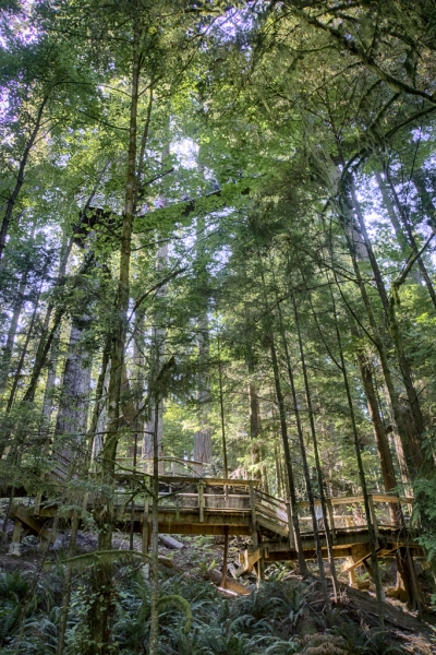 _DSC2825_HDR