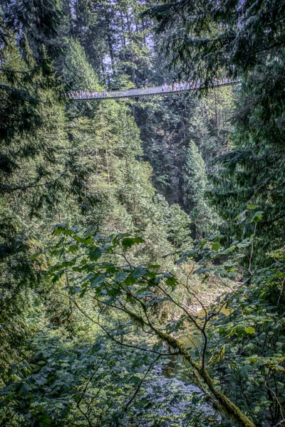 _DSC2831_HDR