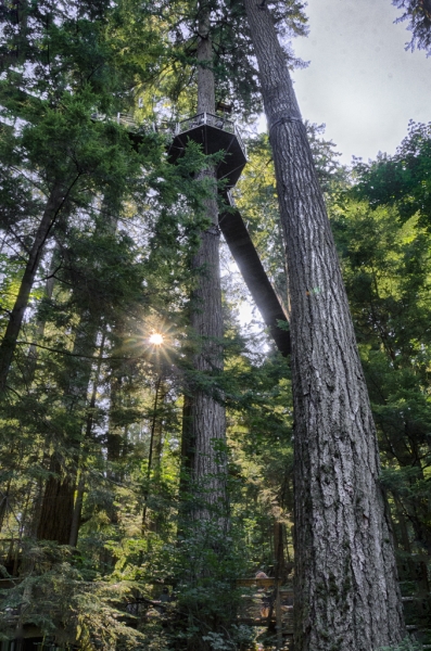 _DSC2840_HDR-Edit