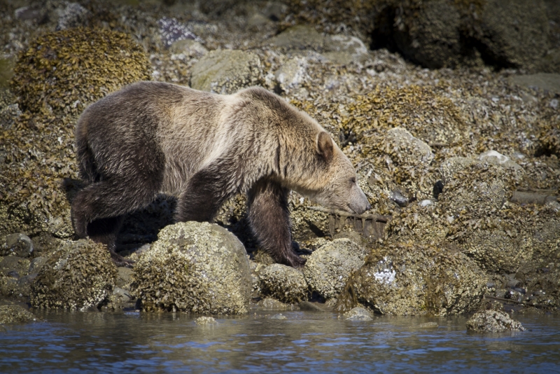 British Columbia-0327