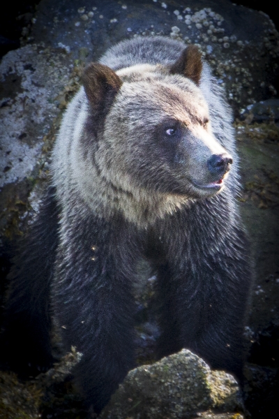 British Columbia-0367