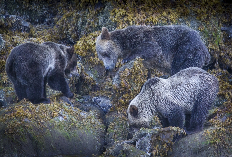 British Columbia-0383
