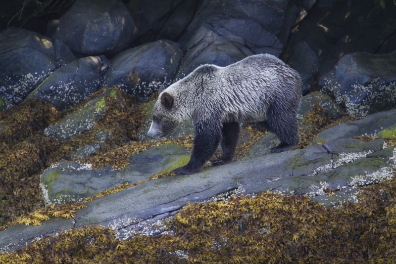 British Columbia-0402-Edit