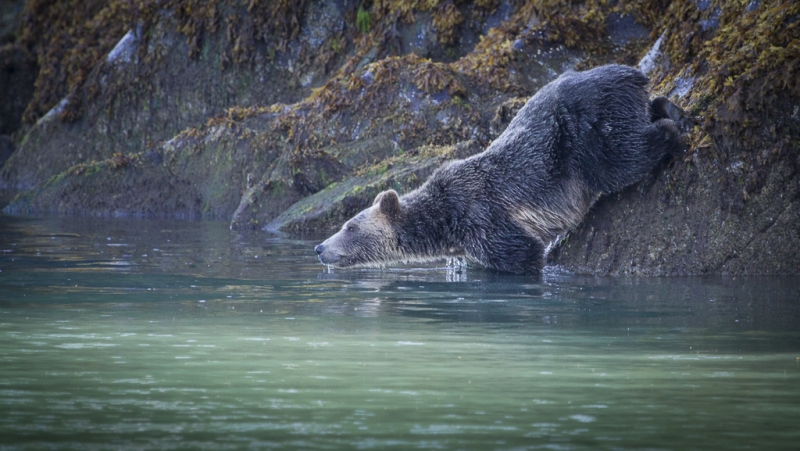 British Columbia-0442-2