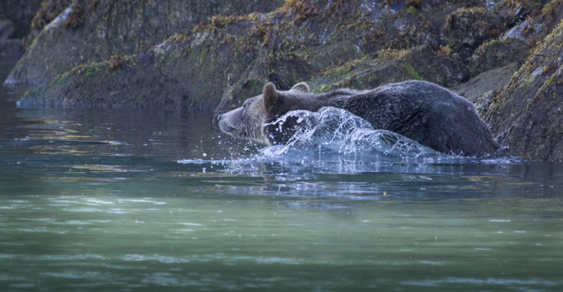 British Columbia-0446-Edit