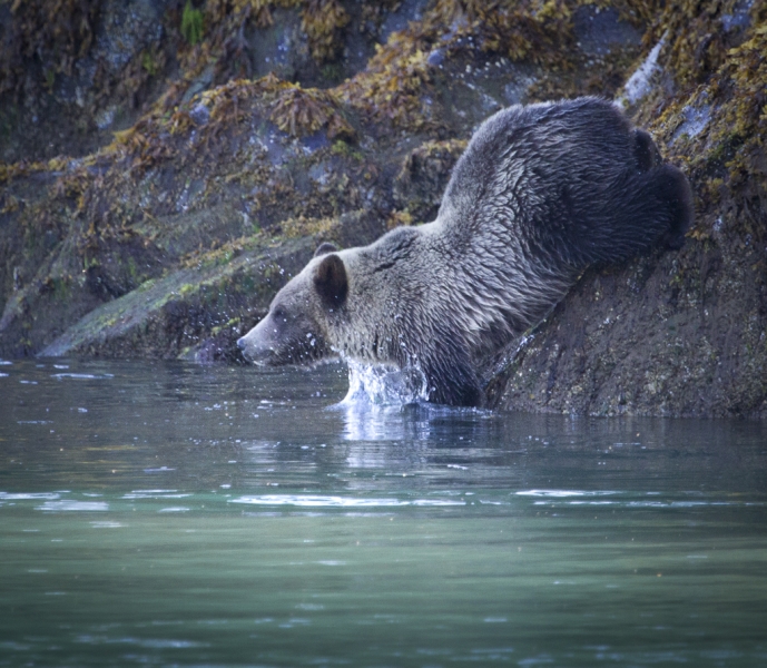 British Columbia-0461