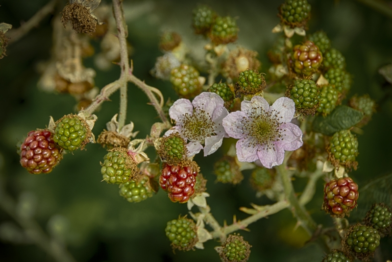 _DSC2148_HDR