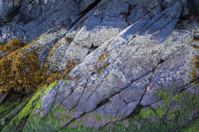 TR2_0077