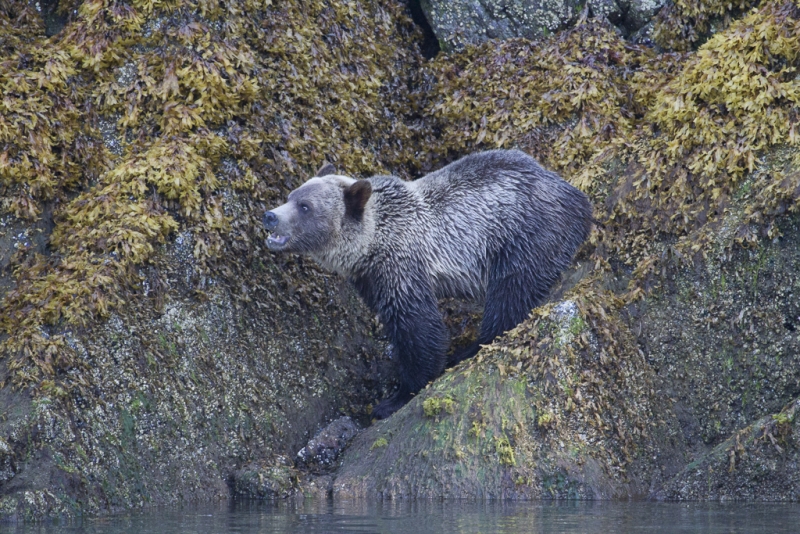 TR2_0532