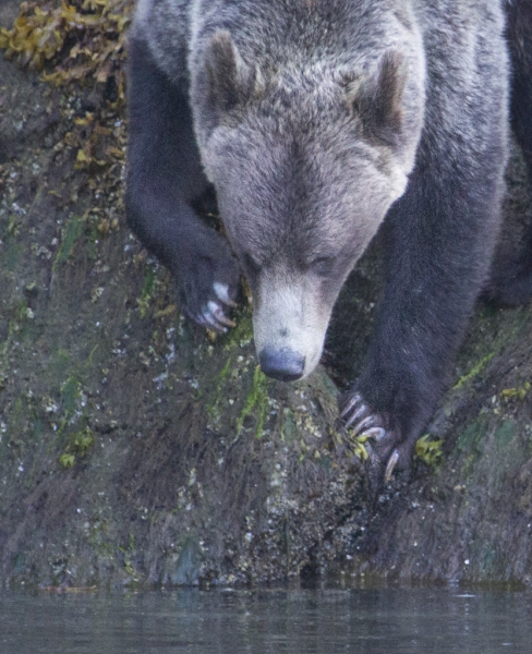 TR2_0589