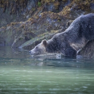 British Columbia-0442-2