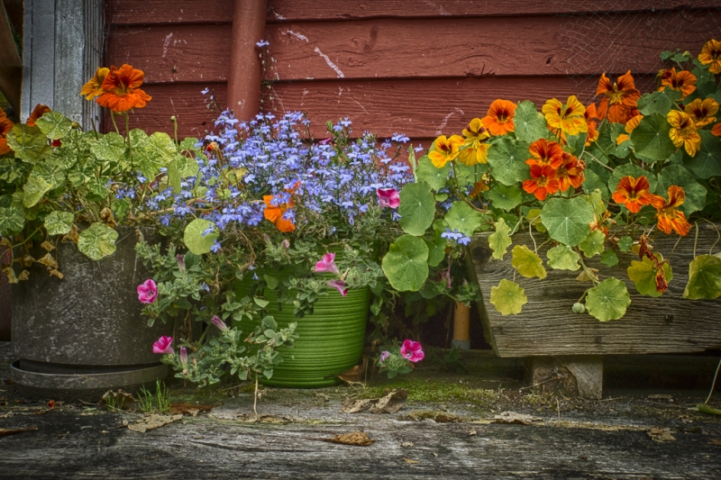 _DSC1627_HDR