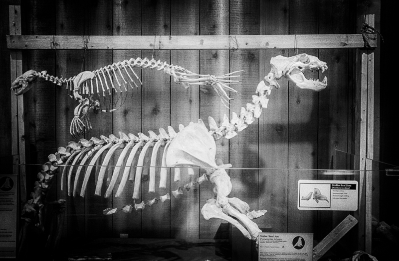 _DSC1651_HDR-Edit