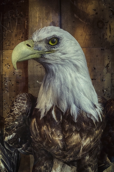 _DSC1654_HDR-Edit