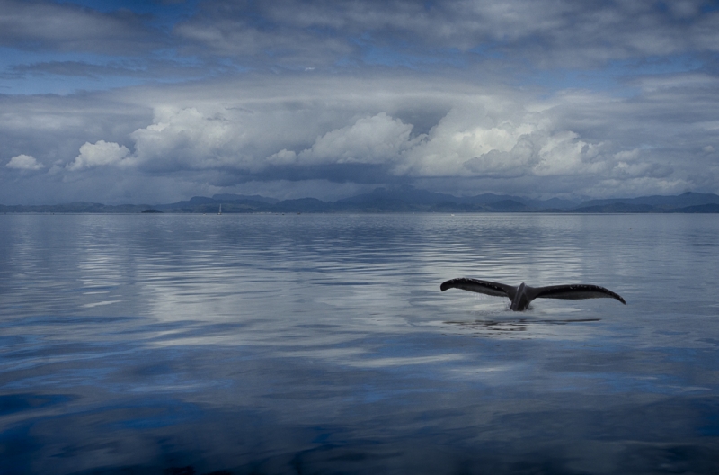 _DSC1702_HDR-Edit