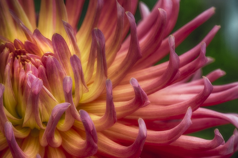 _DSC1774_HDR-Edit