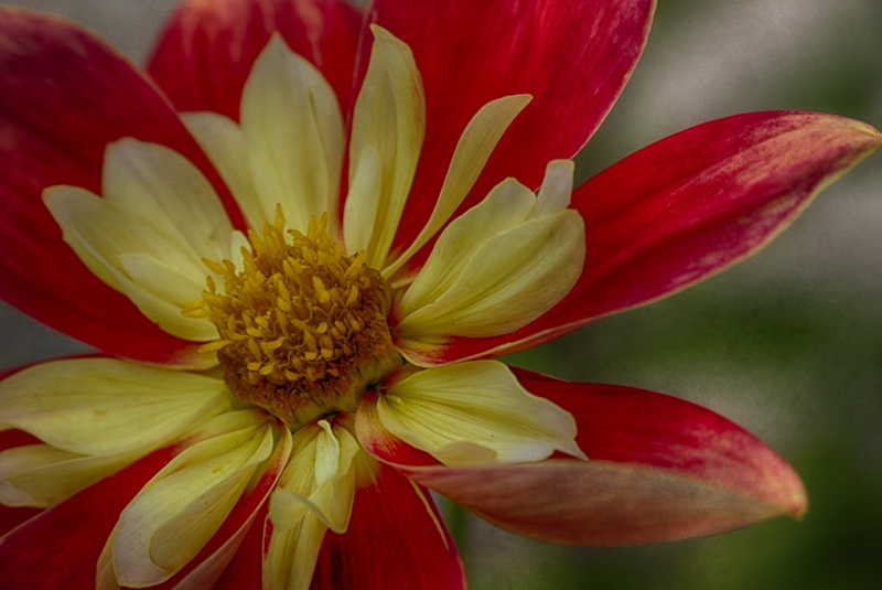 _DSC1792_HDR-Edit