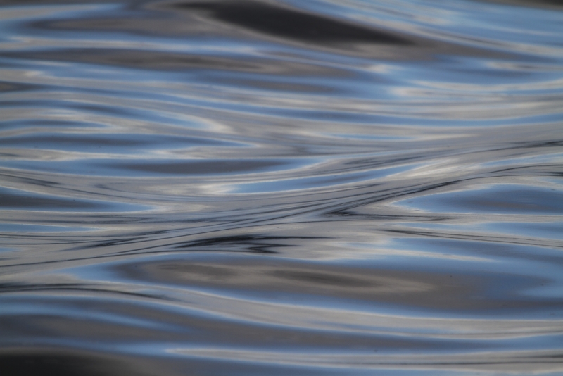 TR2_0081-Edit