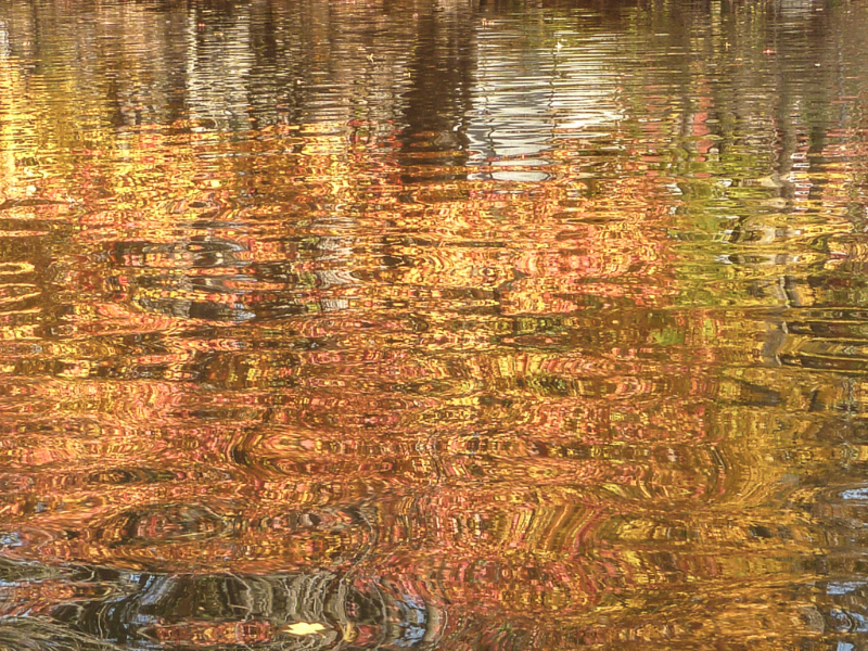 rockaway-river-6