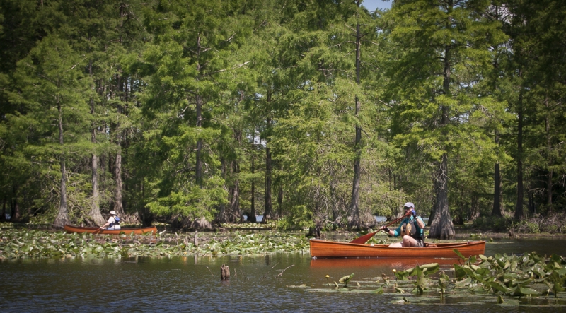 trap-pond-060113-0618