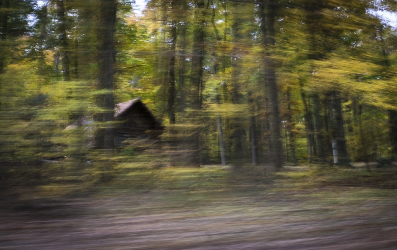 _DSC0172