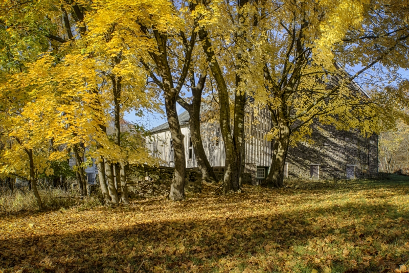_DSC9870_HDR-2286