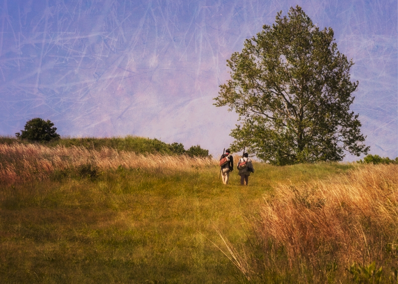 Valley Forge bugs-1