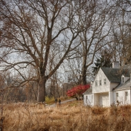 Valley Forge-0541_HDR