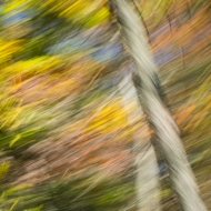 Valley Forge motion blur-